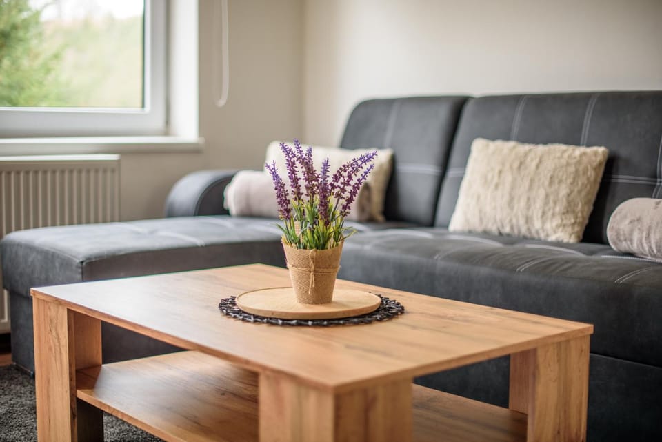 Apartmány Slavíkov - Superior Apartmán Apartment in Czechia