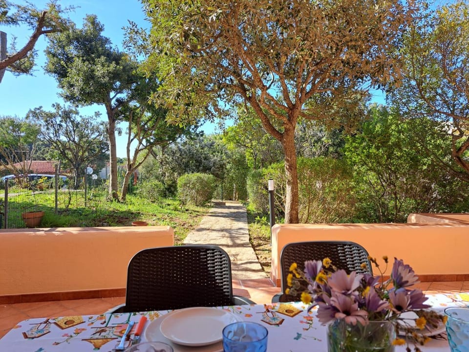 Garden, Garden view