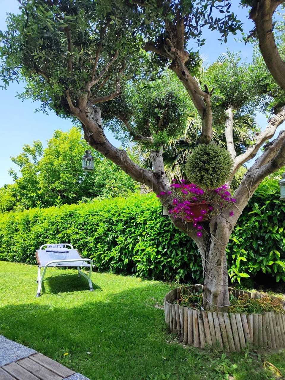 Natural landscape, Garden, Garden view