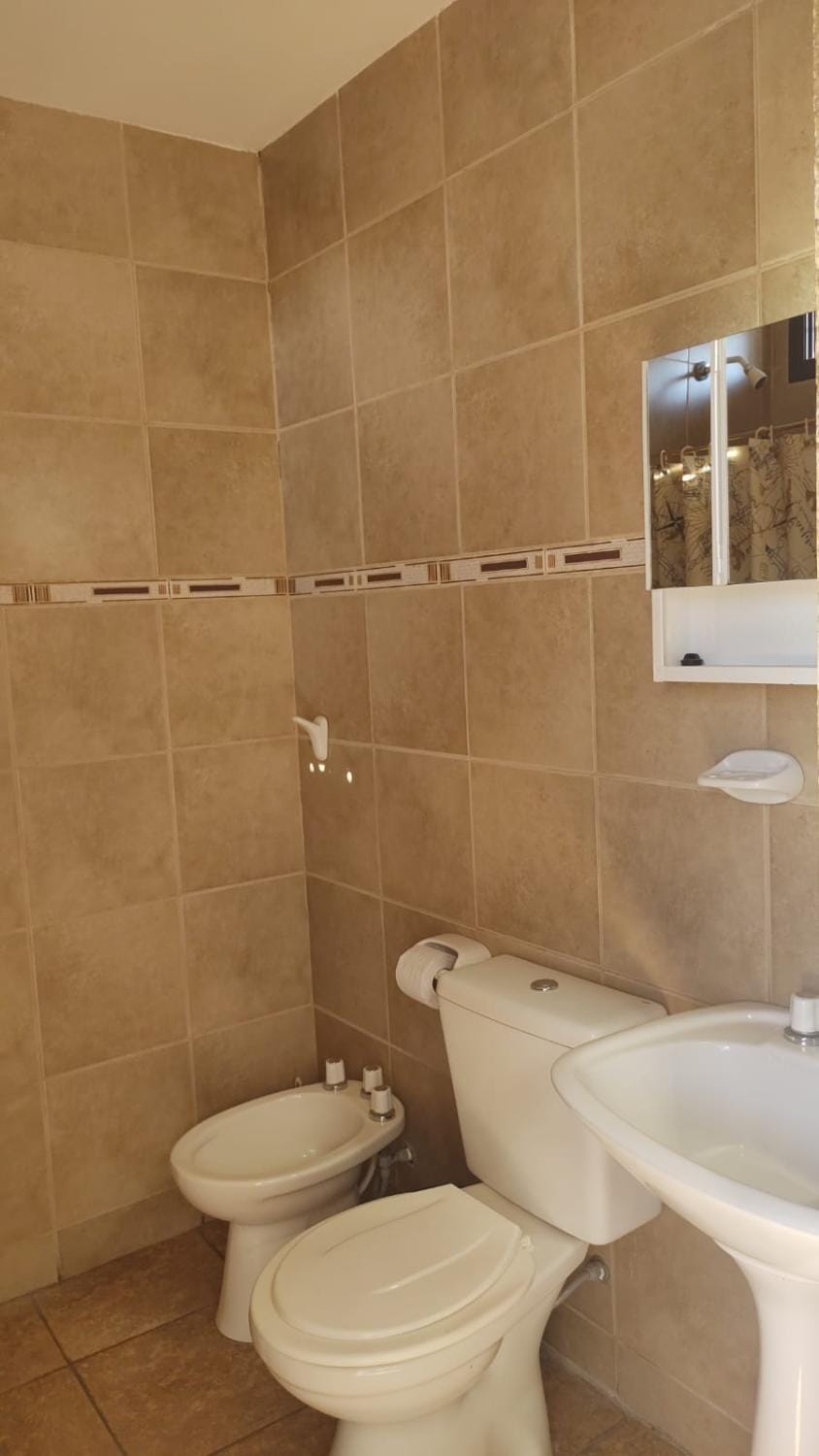 Shower, Toilet, Bathroom, bidet