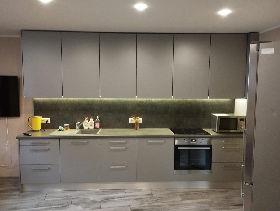 Kitchen or kitchenette, dishwasher, stove