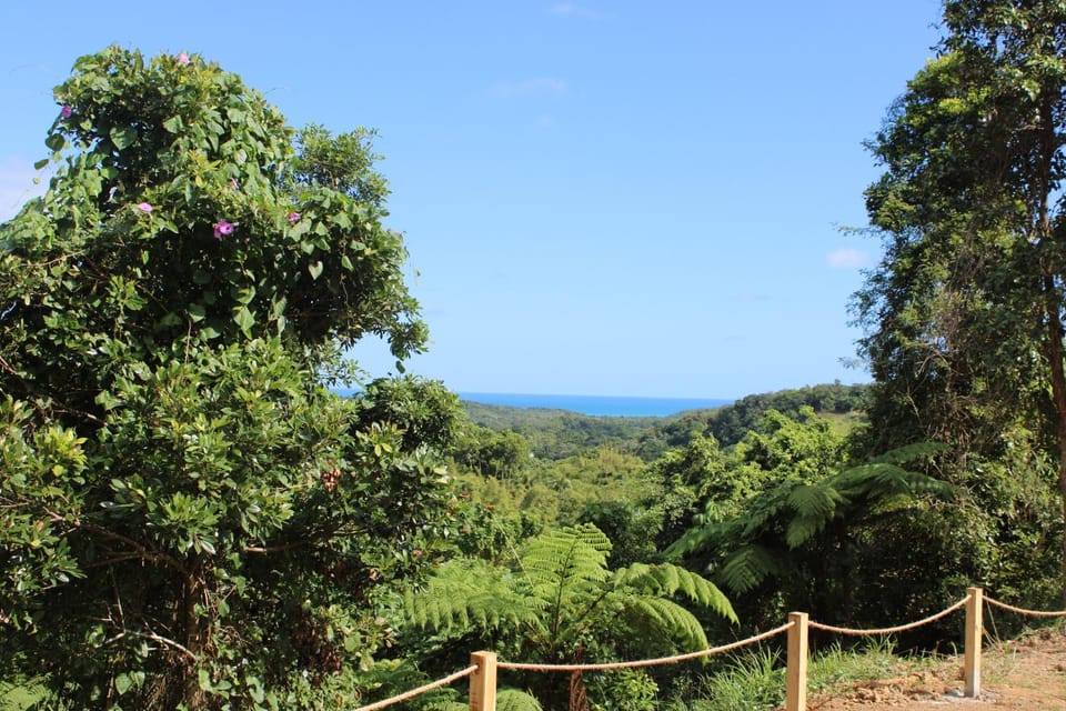 Natural landscape, Mountain view, Sea view