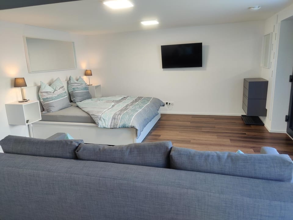 Bed, TV and multimedia, Living room, Photo of the whole room, Seating area, Bedroom
