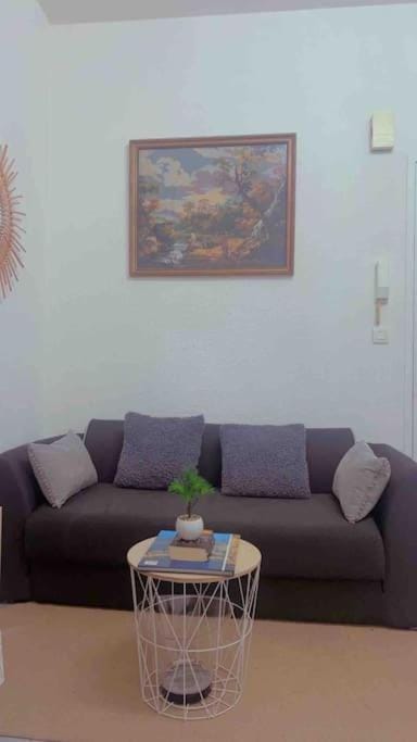 Home sweet home in Pau Apartment in Pau