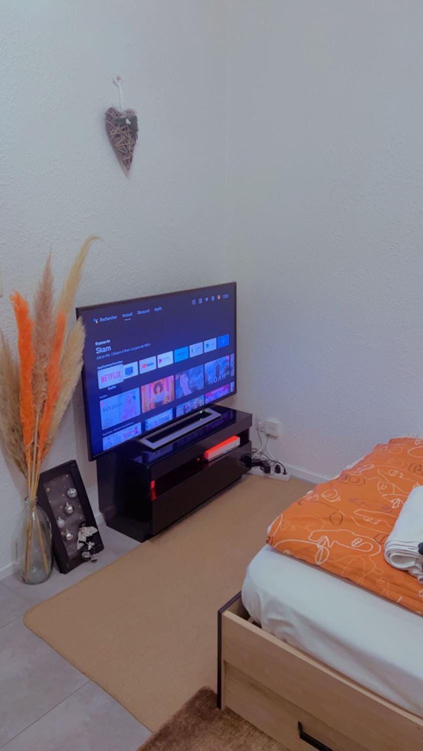 Home sweet home in Pau Apartment in Pau