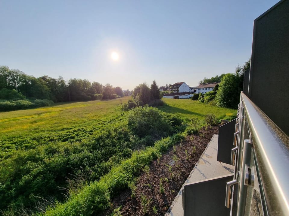 Day, Natural landscape, Garden, View (from property/room), Garden view, Sunset