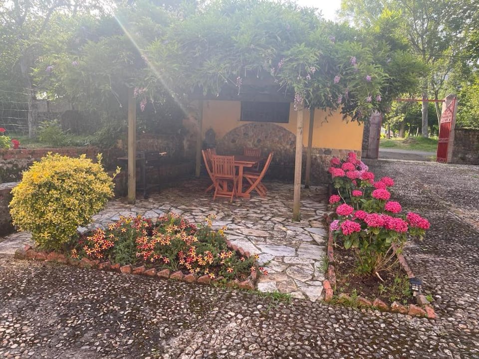 Spring, Day, Garden, Balcony/Terrace, Garden view
