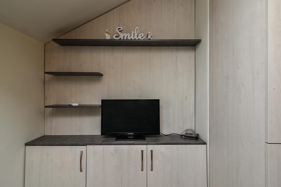 TV and multimedia