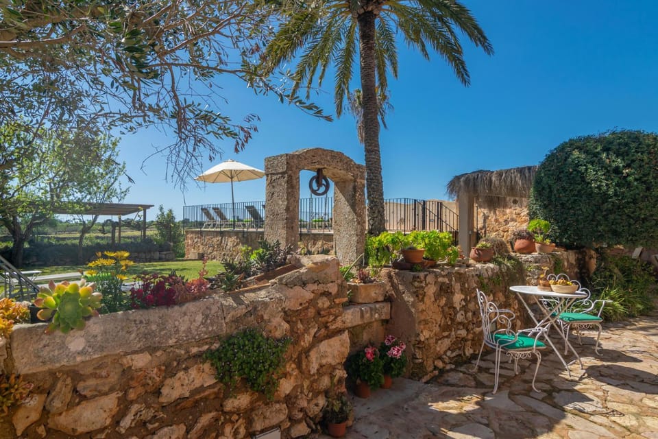 Spring, Garden, Garden view