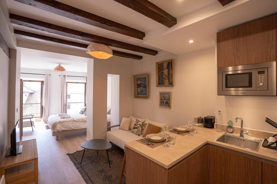 La Suite du 10 - Nice studio with view on the Canal and the Castle Apartment in Annecy