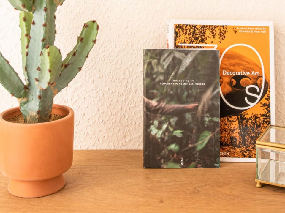 Centre - Le Phoenix - Cathédrale Apartment in Strasbourg