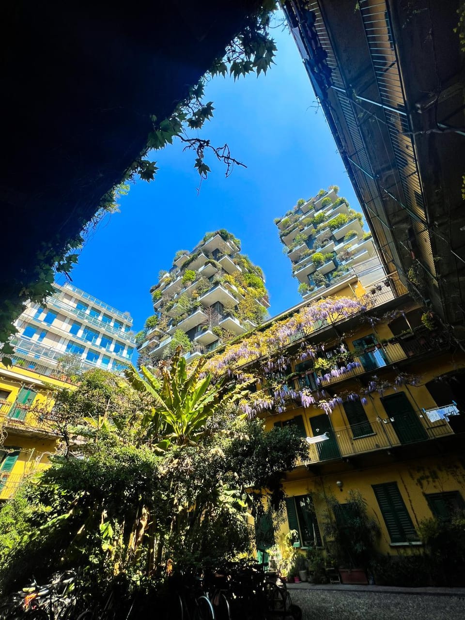 Property building, Day