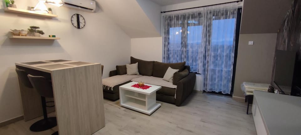 Jela Apartman Apartment in Serbia