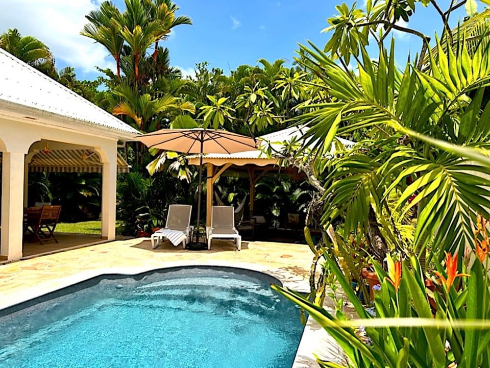 Garden, Swimming pool