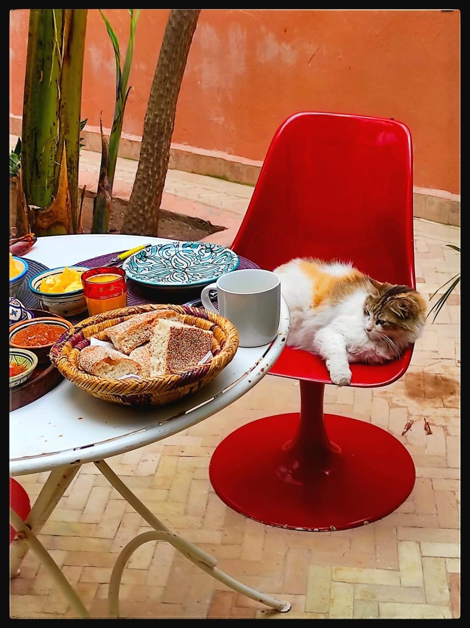 Riad Dar Dayana Bed and Breakfast in Essaouira