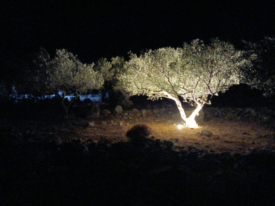 Petra & Elia House in Messenia