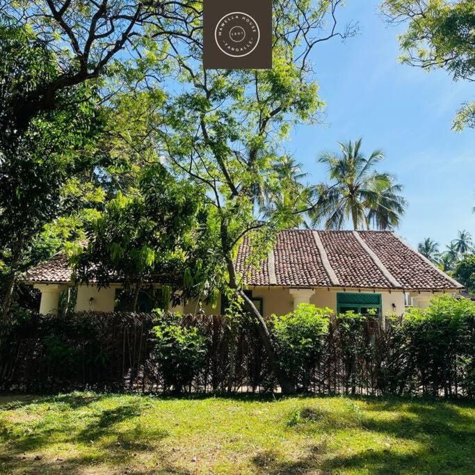 Property building, Day, Natural landscape, Garden, Garden view