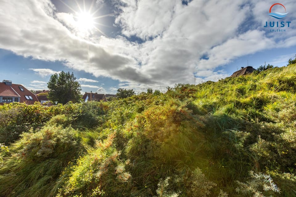 Natural landscape