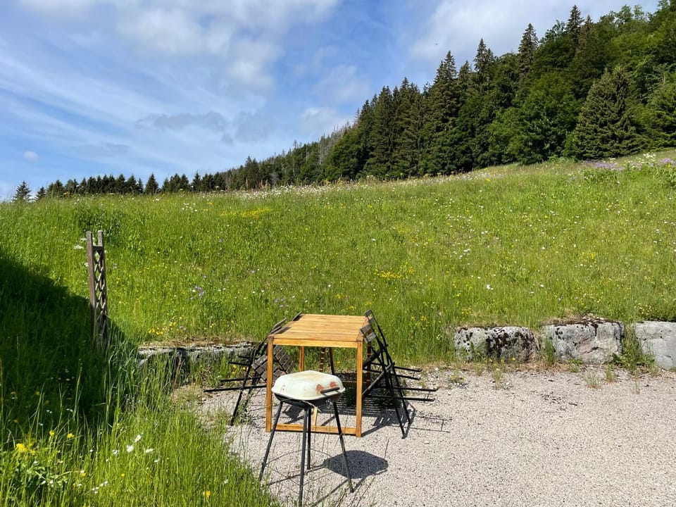 Au cœur du massif jurassien Apartment in Canton of Vaud