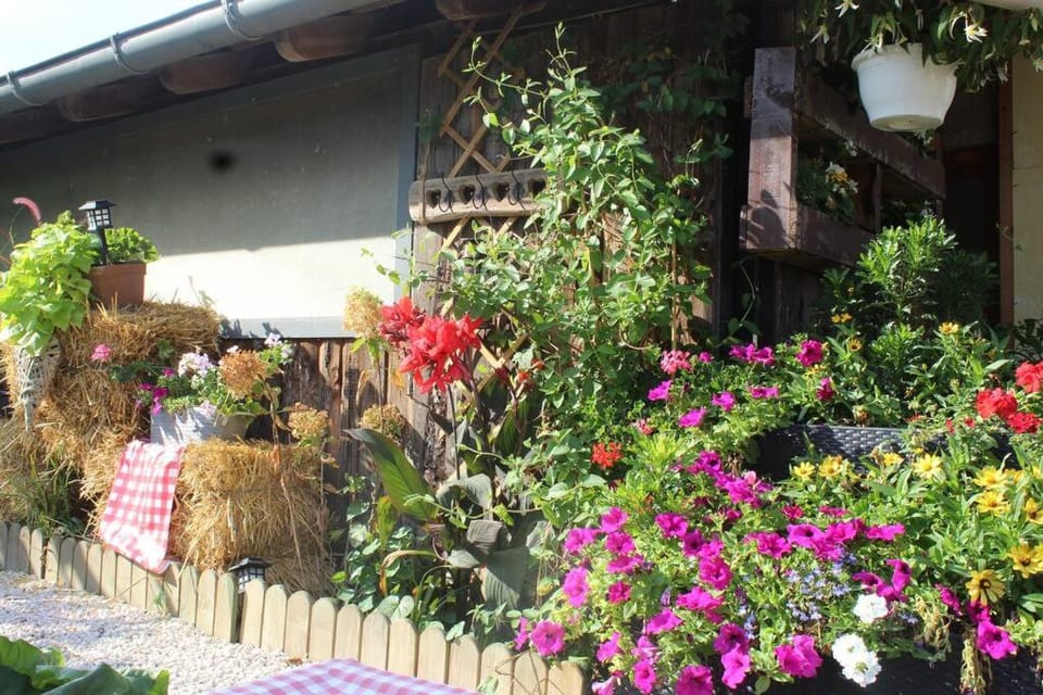 Maisonnette House in Grand Est
