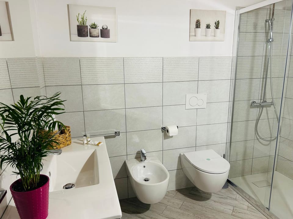 Shower, Toilet, Bathroom, bidet
