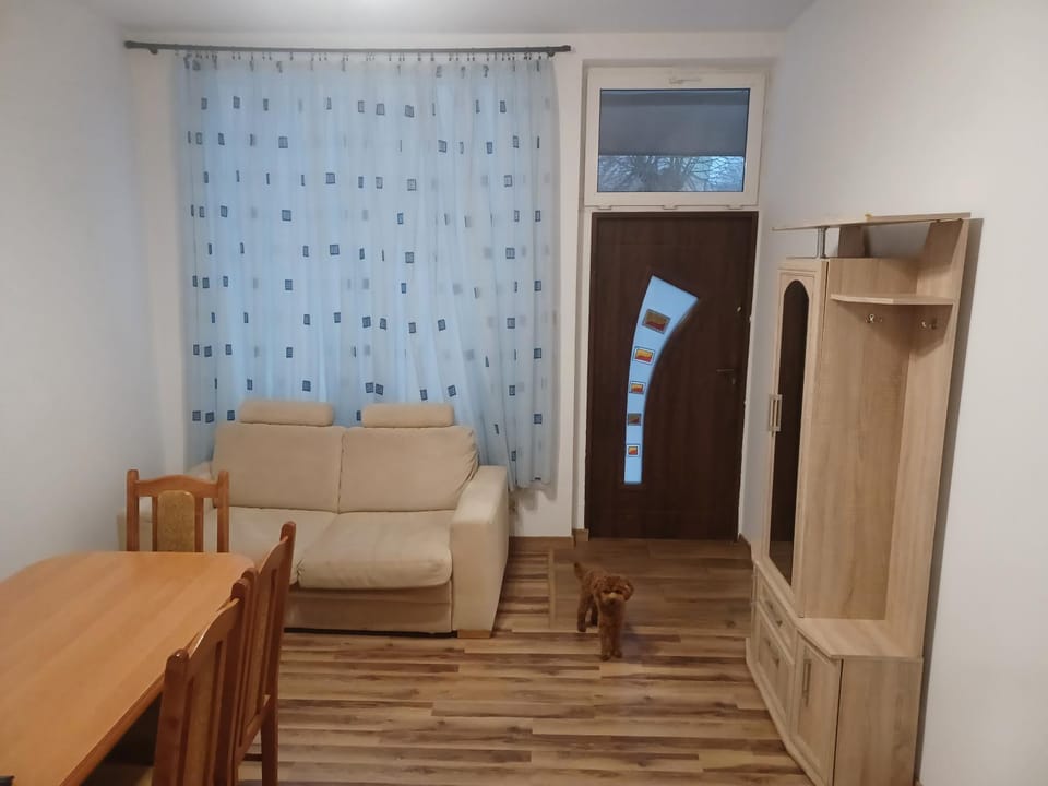 Fajne Mieszkanko z klimą Apartment in Lithuania