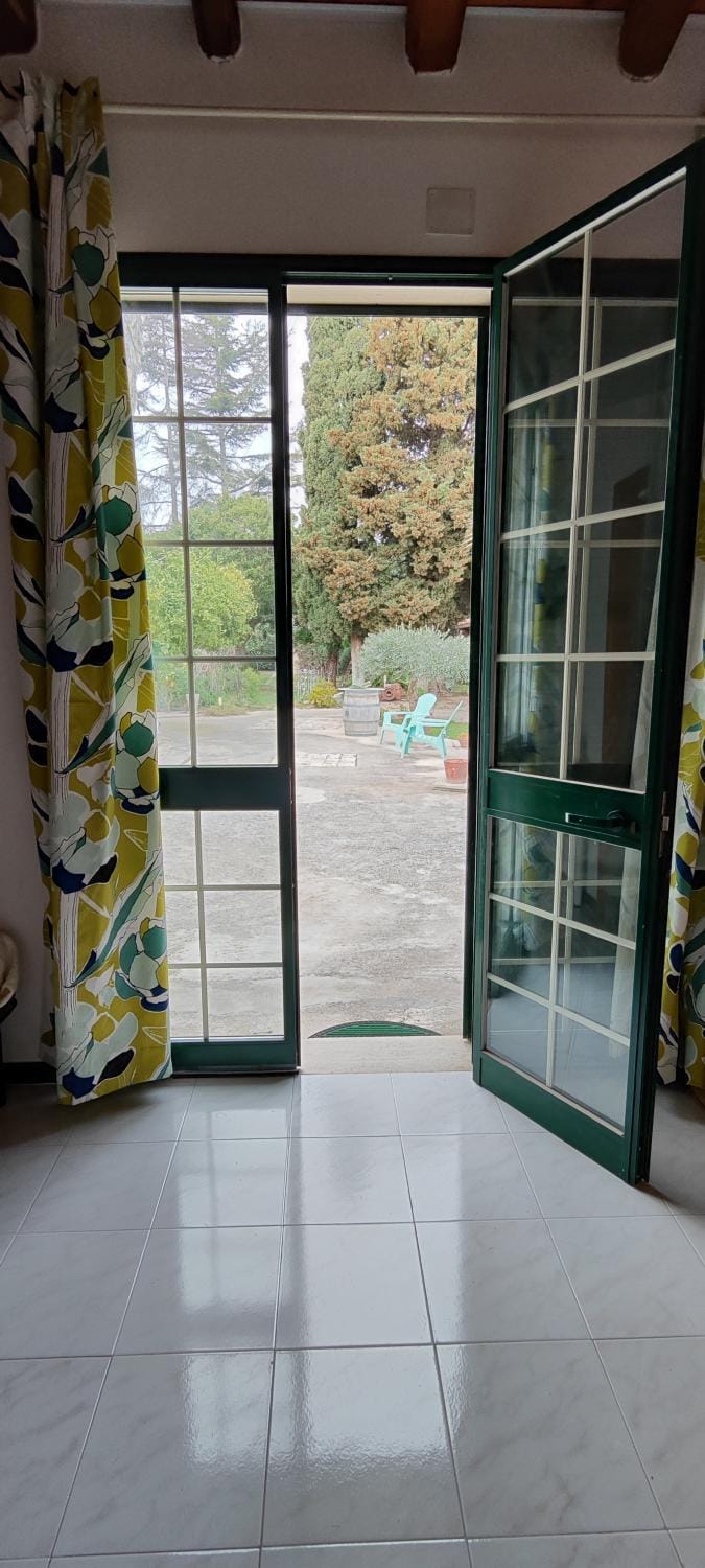 Garden view