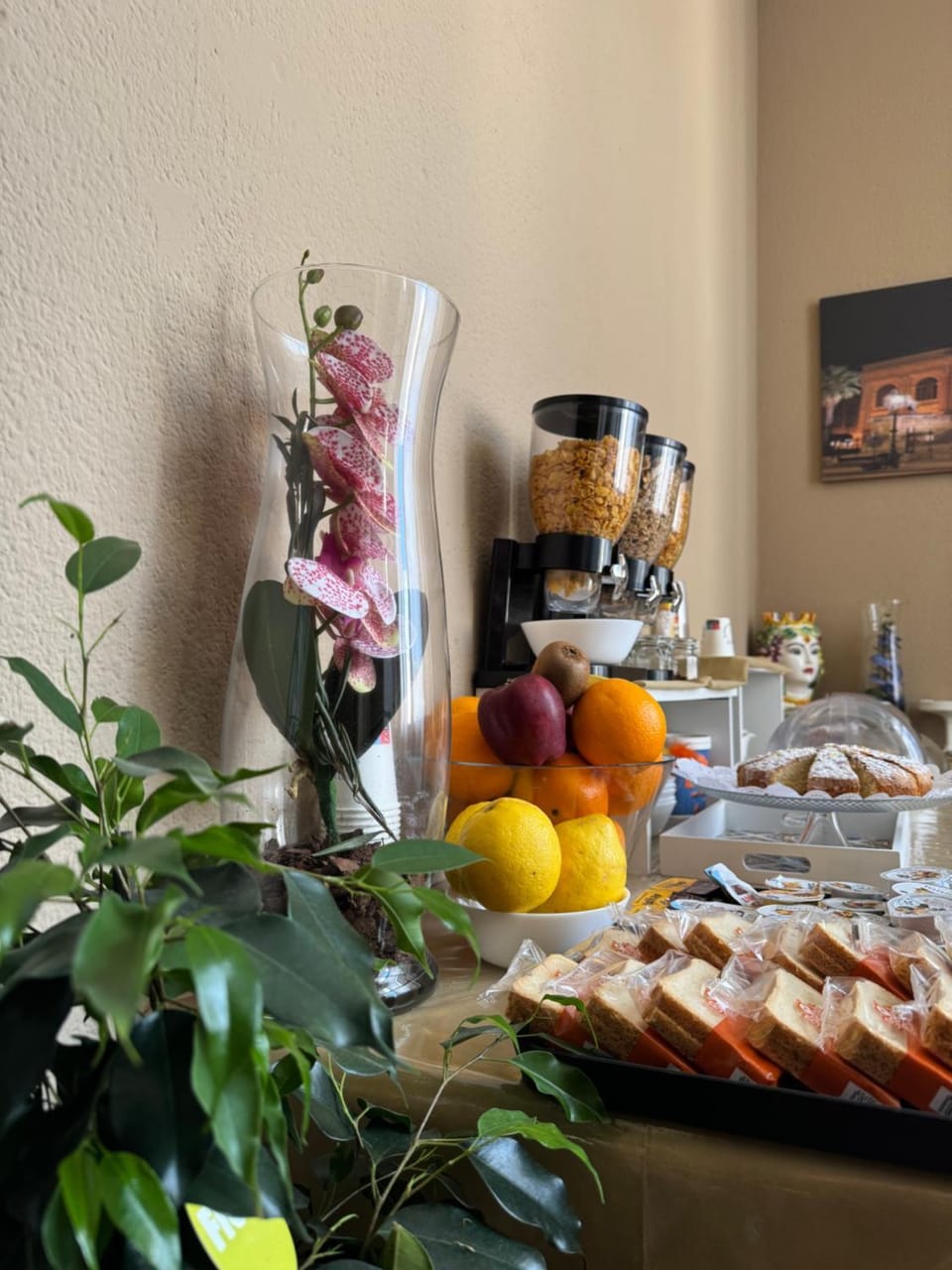 Crispi 120 Rooms New Opening Bed and Breakfast in Palermo