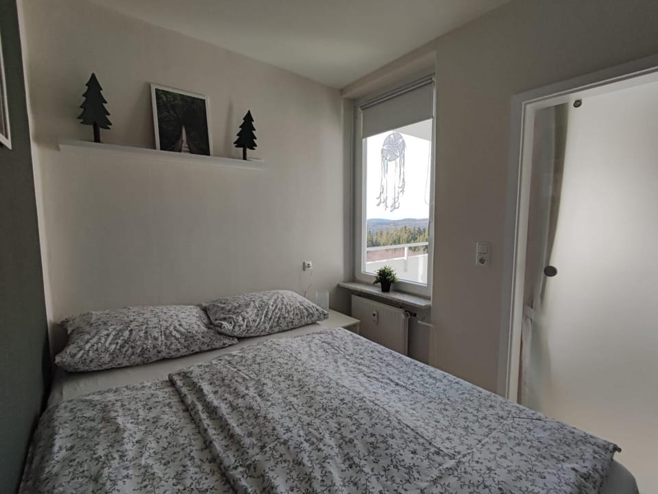 Ferienwohnung Skadi, Hahnenklee Apartment in Goslar