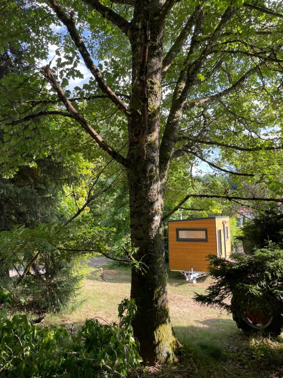 Garden, Garden view