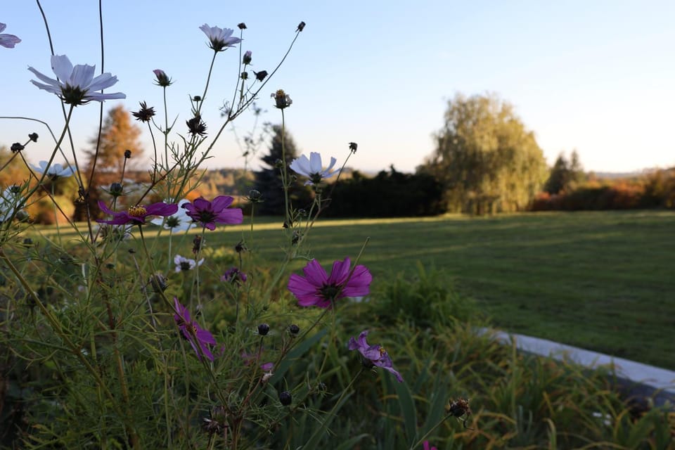 Spring, Summer, Garden, View (from property/room)