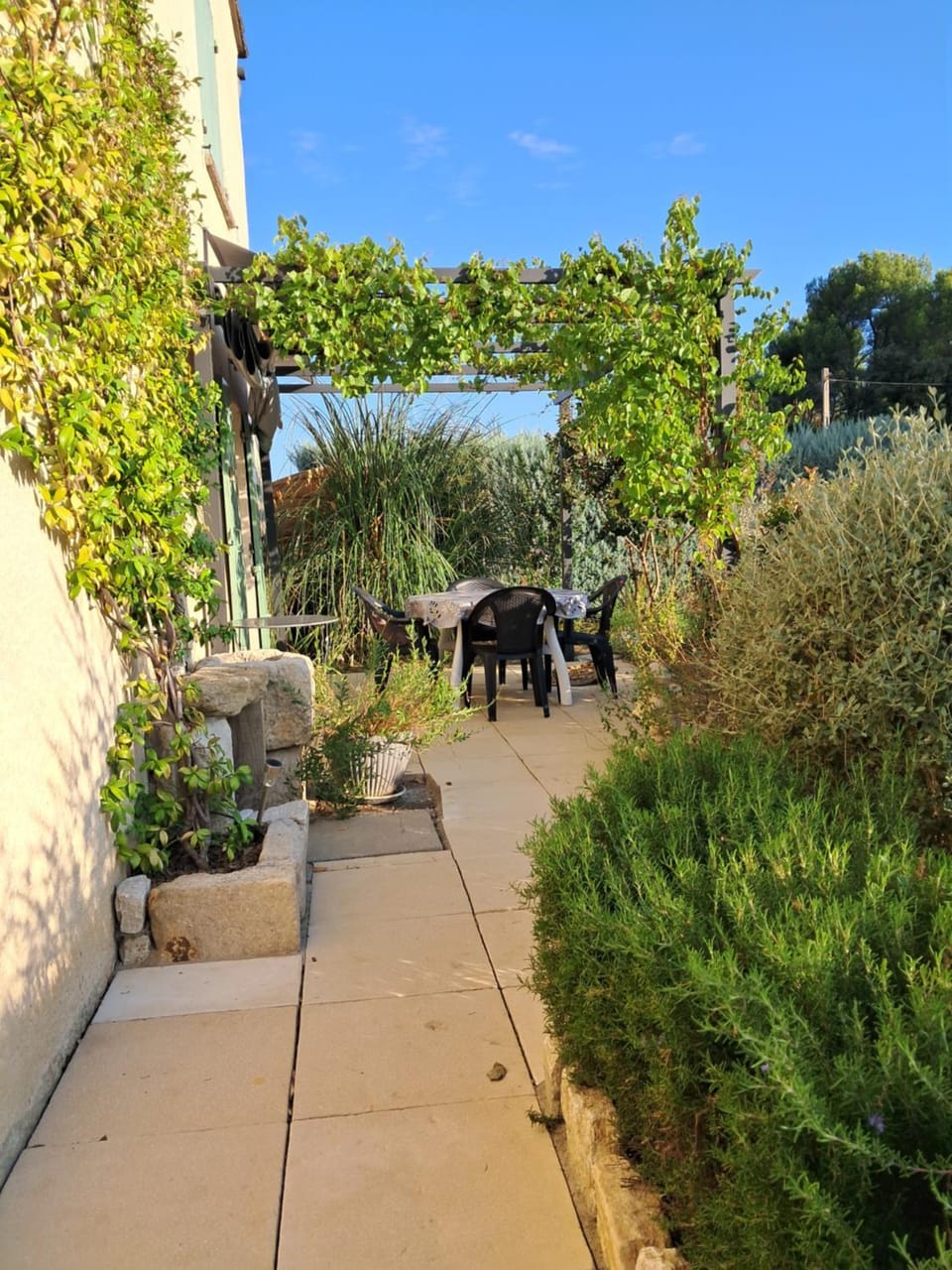 Patio