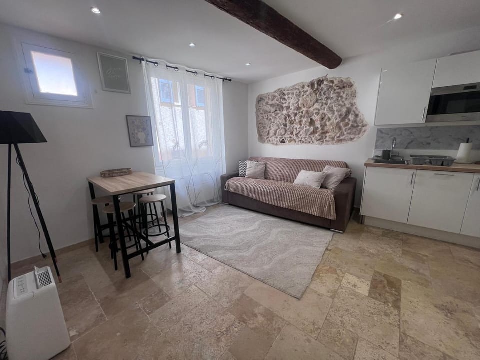 Charmant appartement rénové au cœur du Vieil Antibes Apartment in Antibes