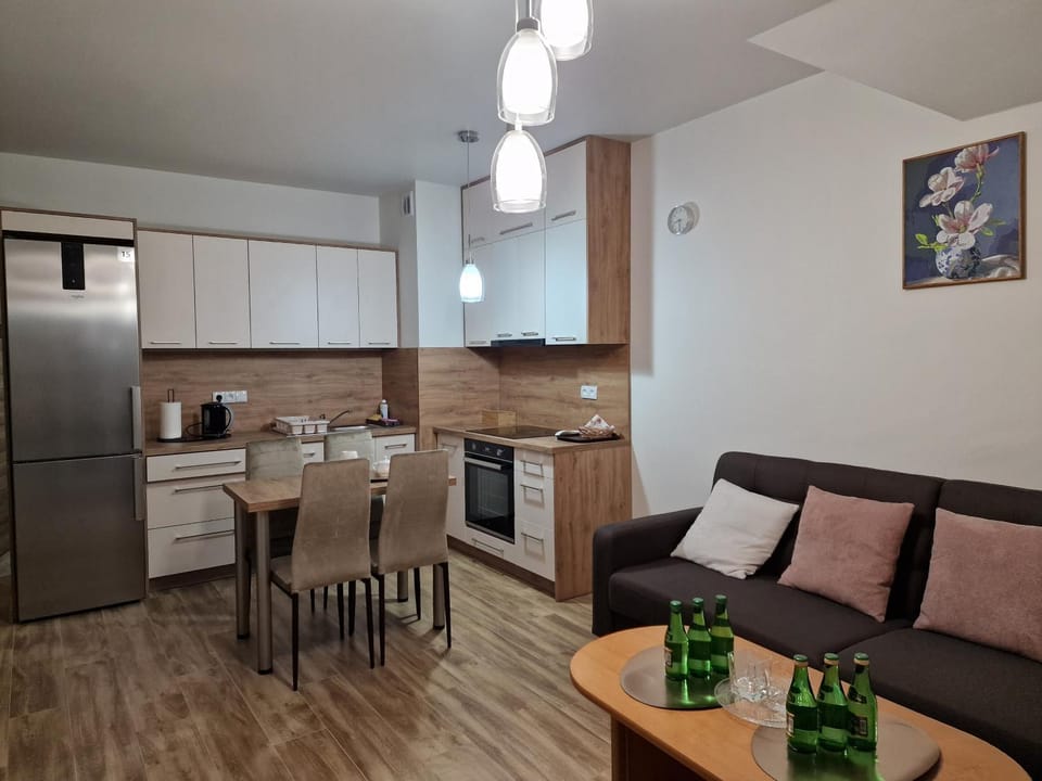 Kitchen or kitchenette, Living room, Seating area, dishwasher, stove