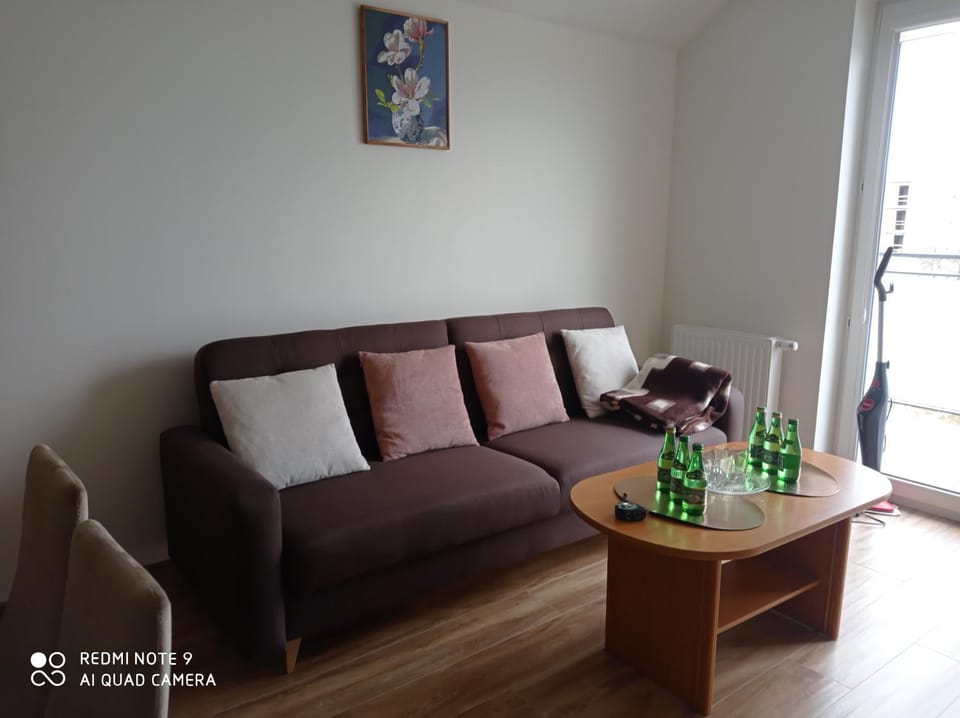 Apartament Elżbieta Apartment in Lesser Poland Voivodeship
