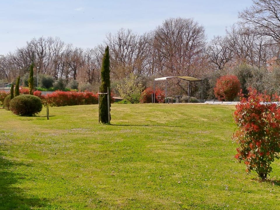 Garden, Garden