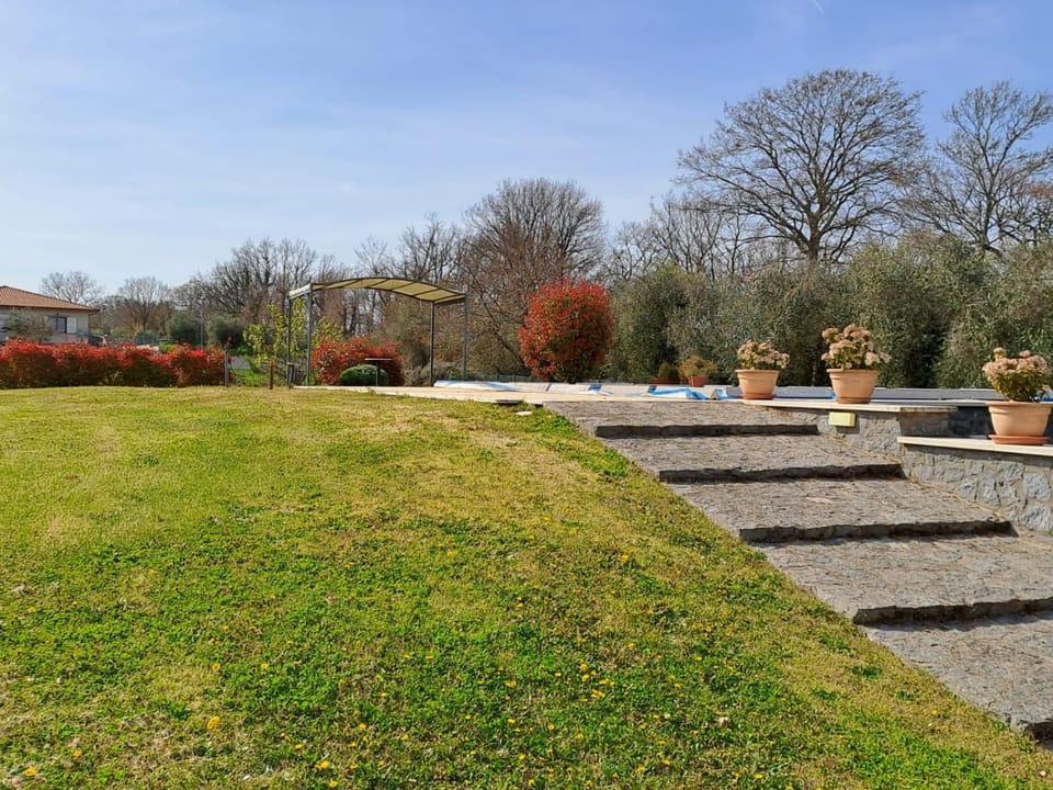 Garden view
