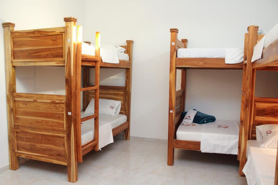 Bed, Photo of the whole room, bunk bed