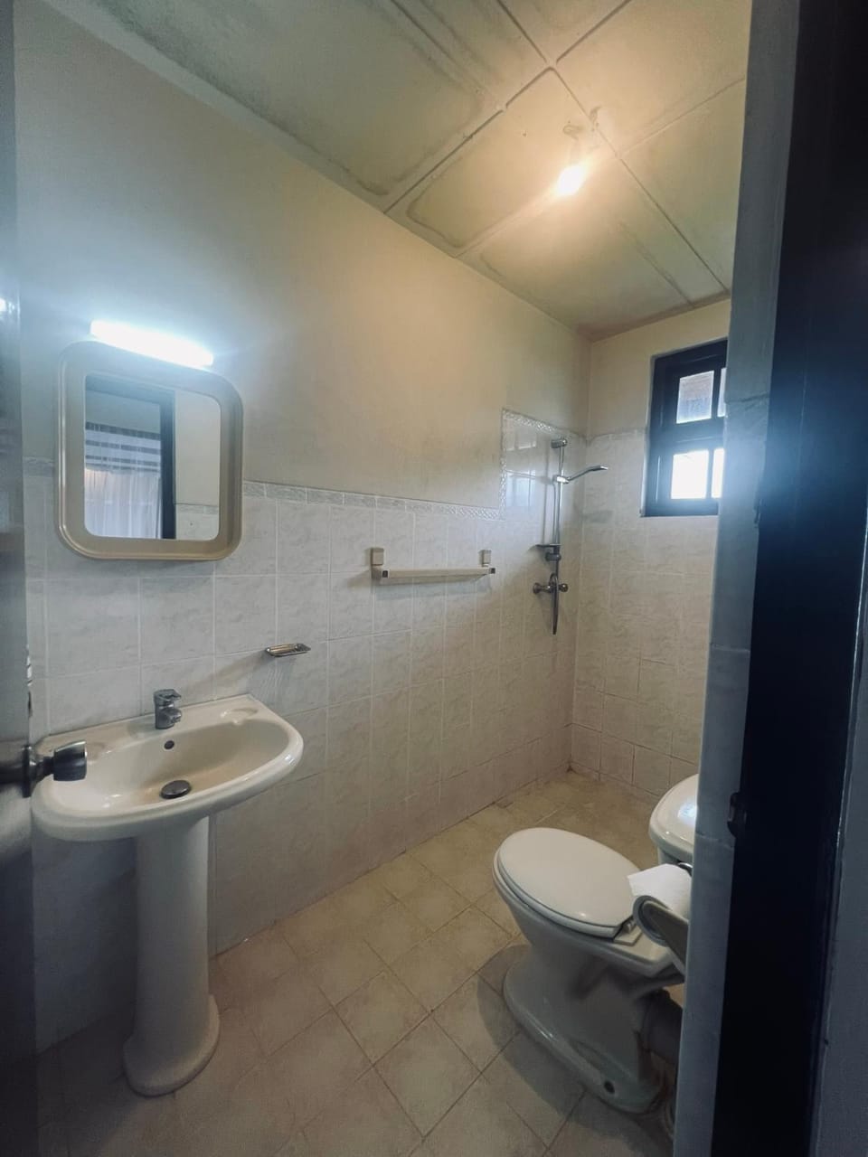 Shower, Toilet, Bathroom, bidet