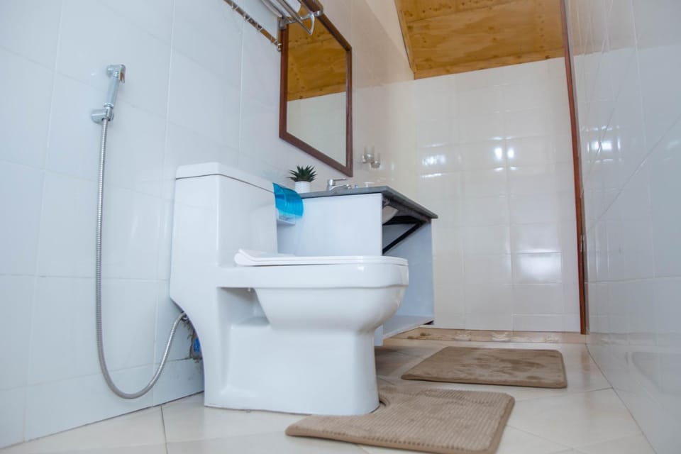 Toilet, Bathroom