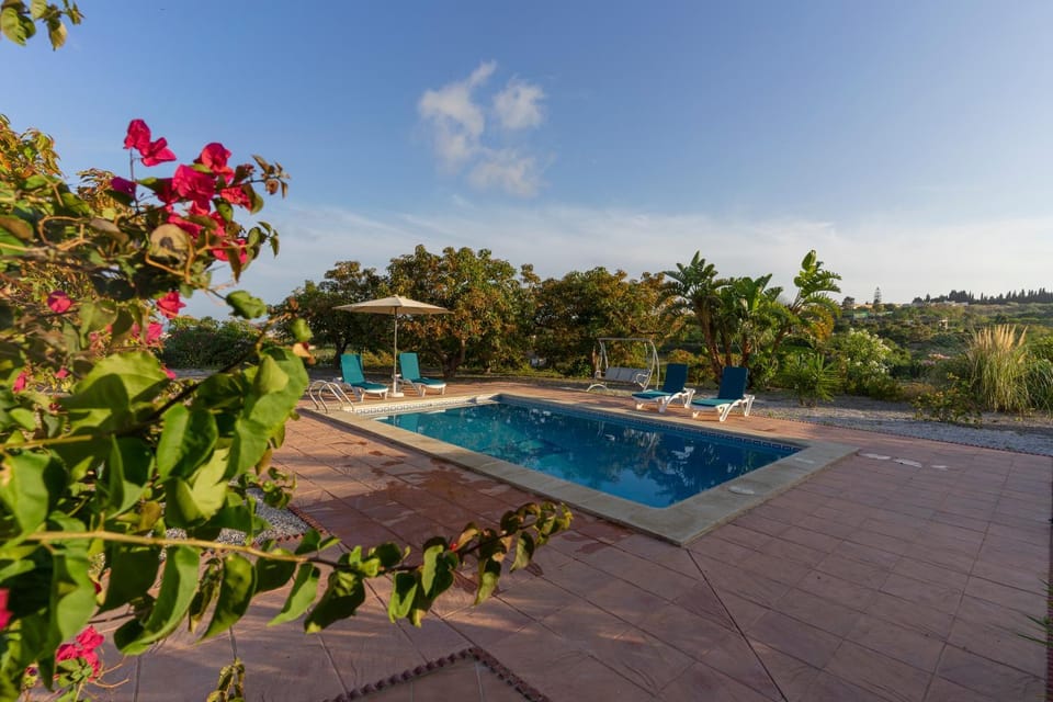 Day, Garden, Garden view, Pool view, Swimming pool, Swimming pool, sunbed