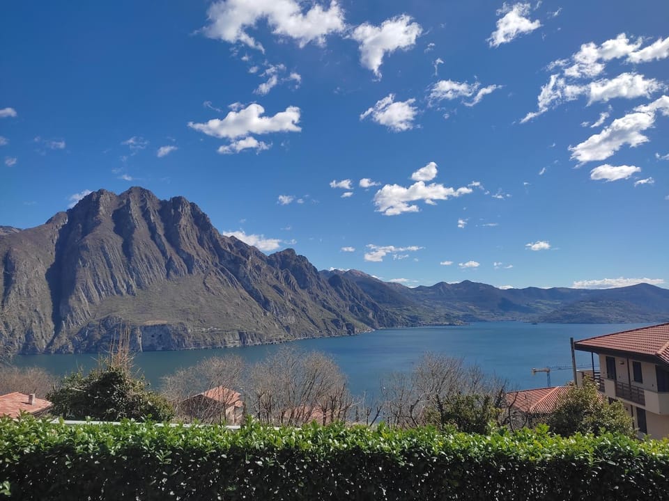 Lake view