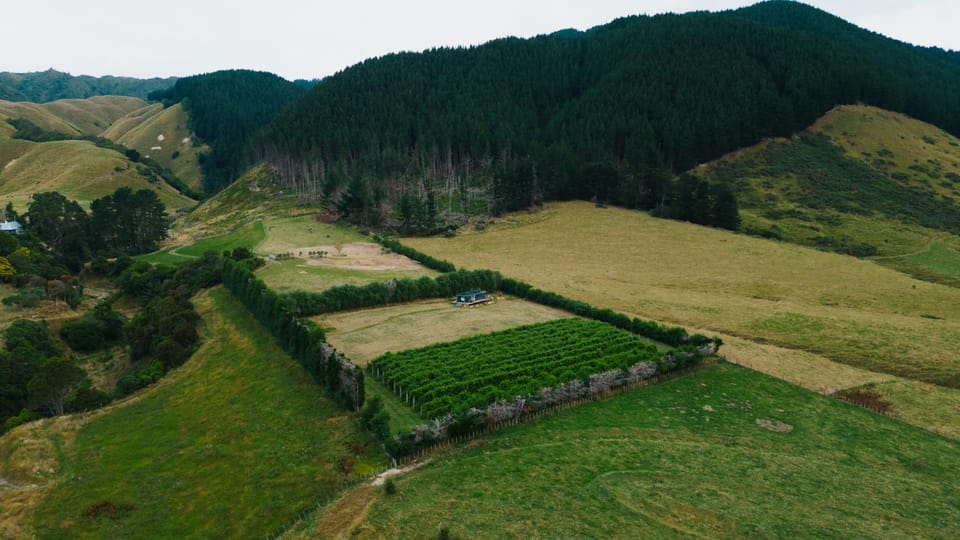 Natural landscape, Bird's eye view