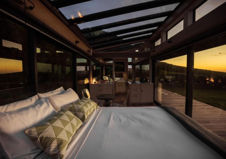 Bed, Photo of the whole room, Sunset