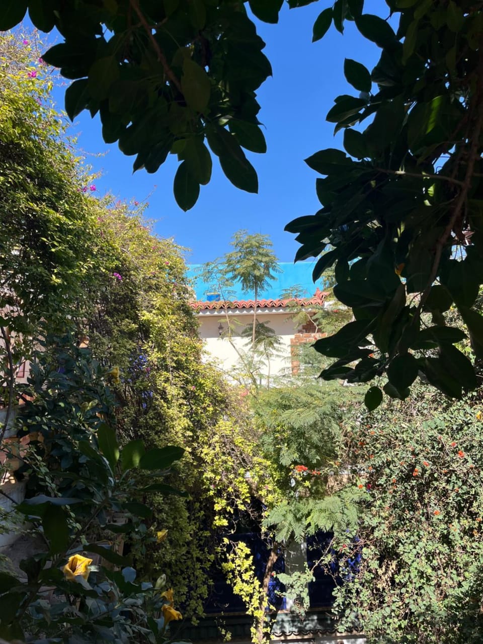 Riad Maryam Taroudant Riad in Souss-Massa