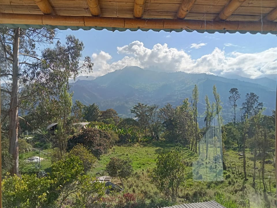 Mountain view