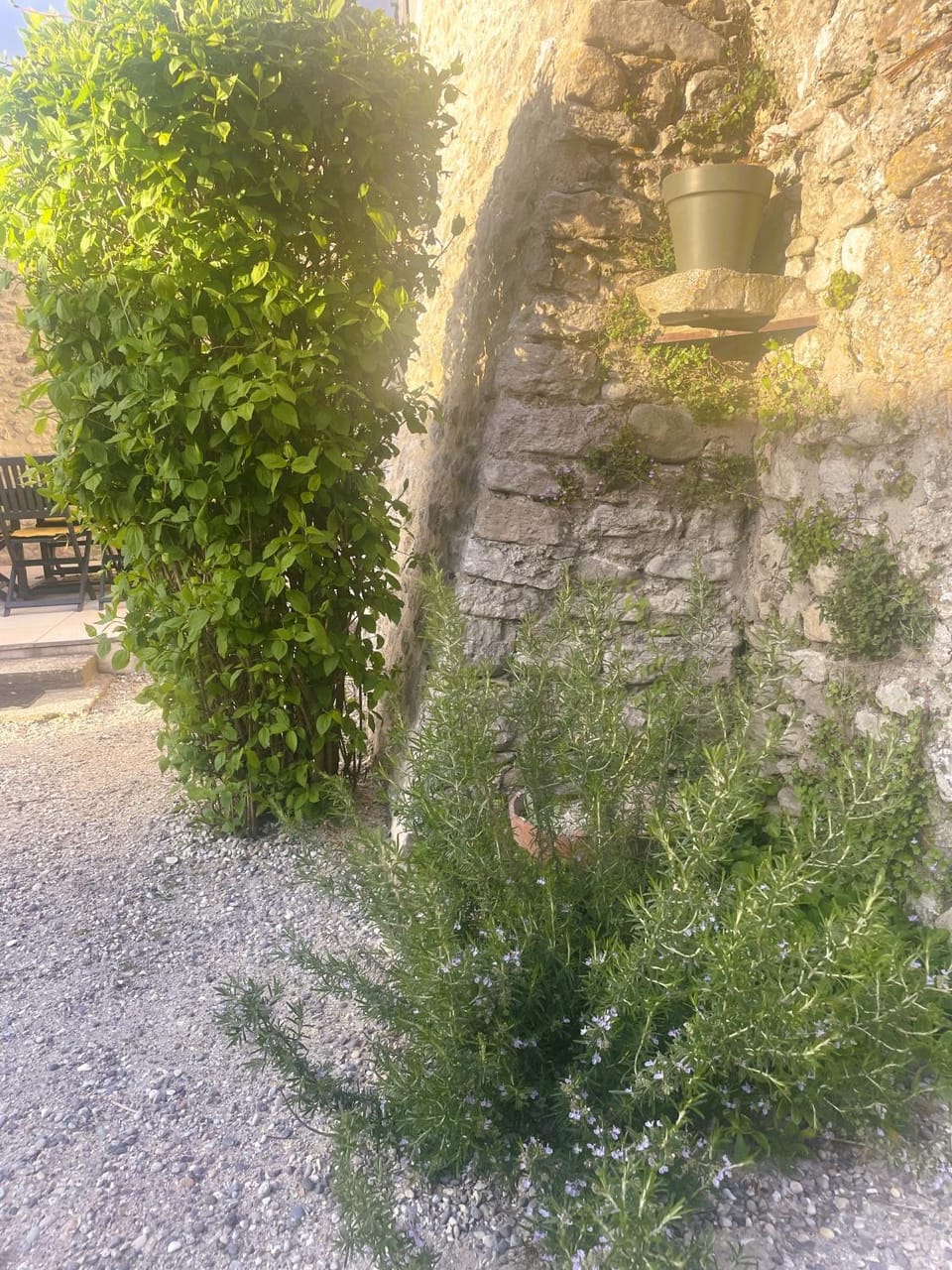 Garden, Garden view
