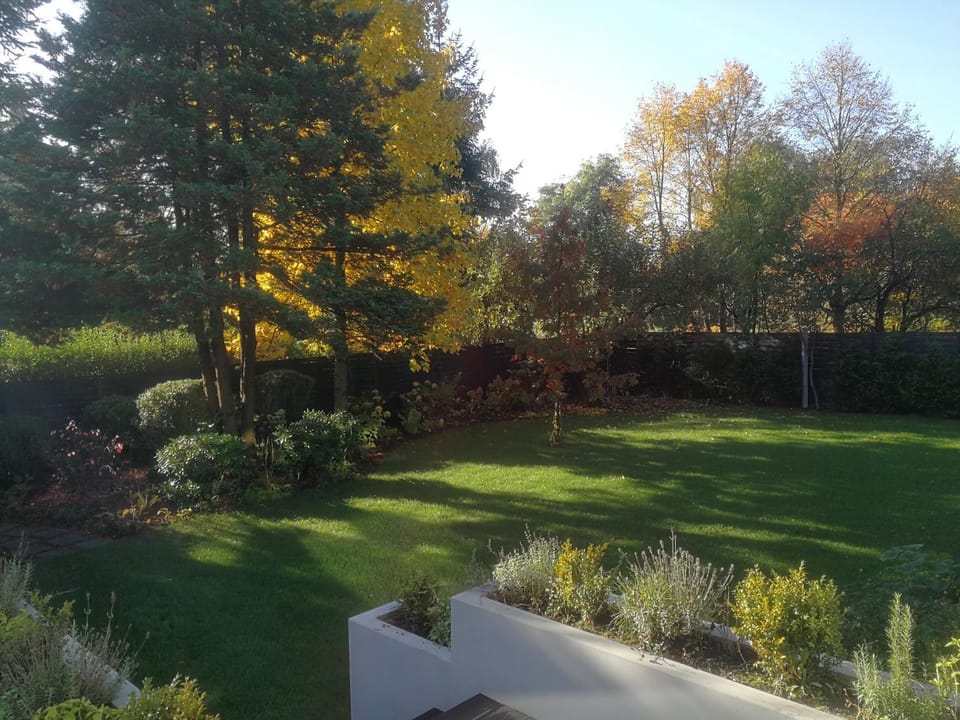Patio, Garden