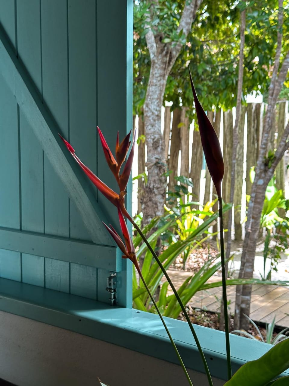 Day, Garden view