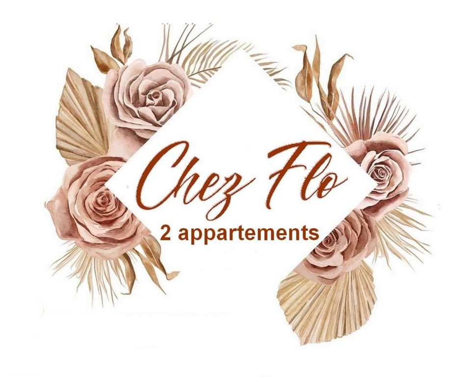 Chez Flo Apartment in Avignon